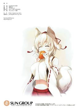 Page 17 of CUFFUCA06