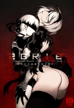 Page 1 of NieR : 2BR18