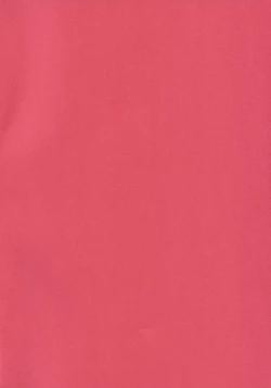 Page 2 of Oni-tachi no Tatakai wa Korekara da!