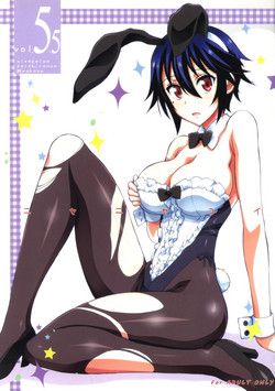 Download Nisenisekoi 5.5