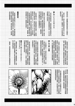 Page 38 of MOLLIS MACHINA