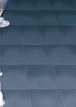 Page 25 of Chinjufu Inkouen Keikaku case Hamakaze