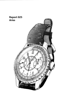 Page 24 of Dulce Report 9