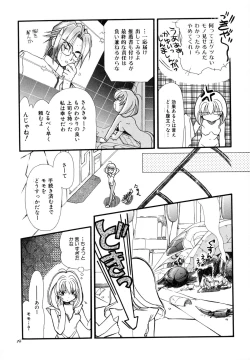 Page 13 of Tougenkyou