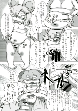 Page 9 of Touhou Doujiroku
