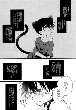 Page 4 of Kimi wa Kawaii Boku no Kitty
