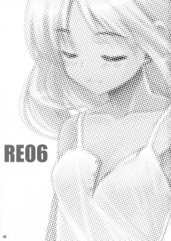 Page 3 of RE 06