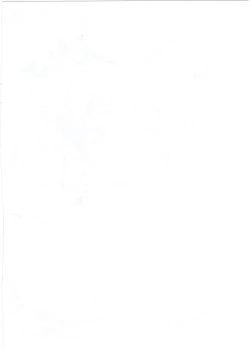 Page 2 of EldLOricchi