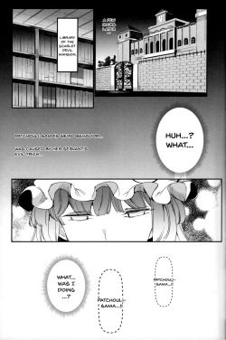 Page 12 of Totsuzen Gekiiki Patchoulisama Violently Came