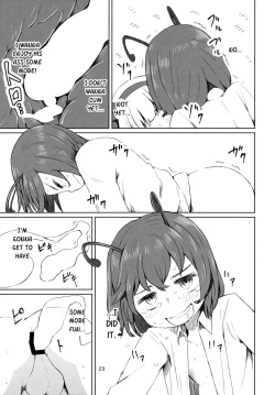 Page 24 of Touhou Youchuutan