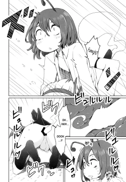 Page 25 of Touhou Youchuutan