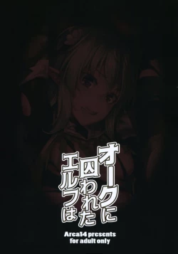 Page 3 of Orc ni Torawareta Elf wa