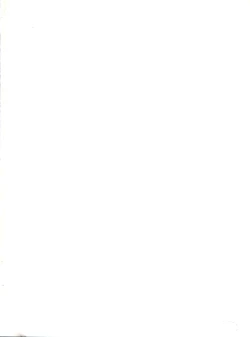 Page 2 of Negima Zone II