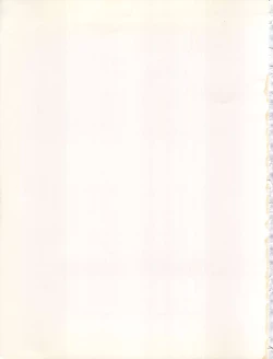 Page 43 of MAGICAL RIBBON SPECIAL