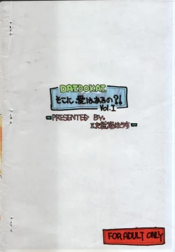 Page 18 of Soko ni Ai wa Aru no?! Vol.I DAIDOKAI