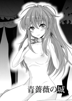 Page 2 of Aobara no Shiro