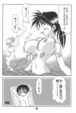 Page 14 of BBB OFFICIAL GUIDE BOOK