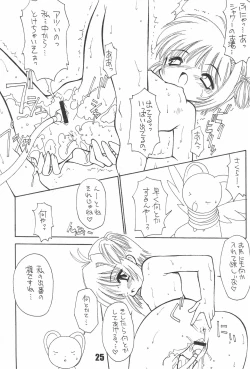 Page 25 of BBB OFFICIAL GUIDE BOOK