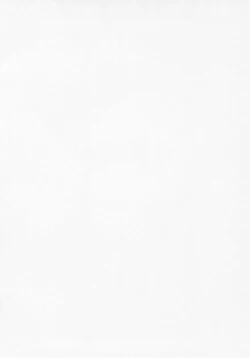 Page 2 of Chibikonumu