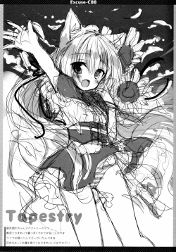 Page 13 of Excuse;C88