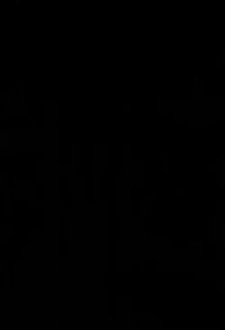 Page 4 of Fusego, Usuakari