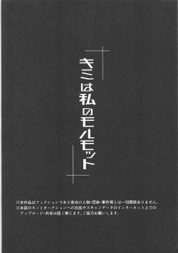 Page 3 of Kimi wa Watashi no Marmot