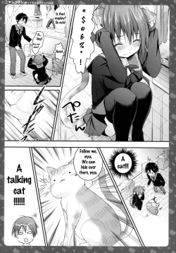 Page 12 of Nyancologysan no HimitsuHomecoming Nekota