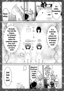 Page 14 of Nyancologysan no HimitsuHomecoming Nekota