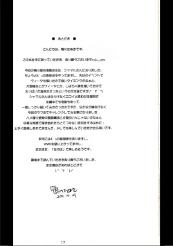 Page 17 of Y.D.M Ver.SH Limited Edition