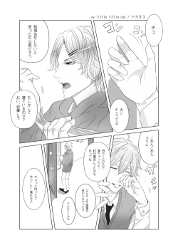 Page 1 of my little littlr cat