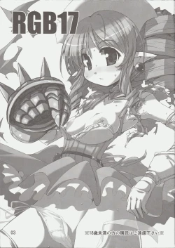 Page 3 of RGB-17