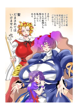 Page 17 of Touhou Pragmatizer Sono 19