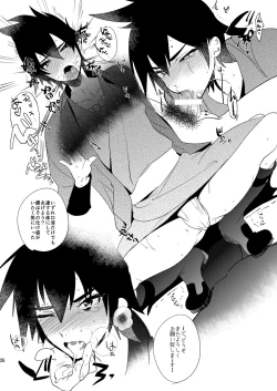 Page 25 of 虎伏す野辺