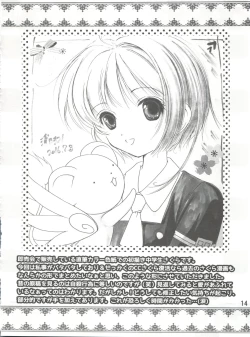 Page 14 of Sakura Festival