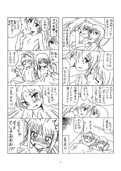 Page 4 of Hanra HomuAn 4-koma no Hon