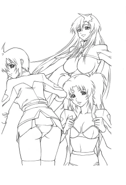 Page 2 of Meer to Lunamaria to Meyrin