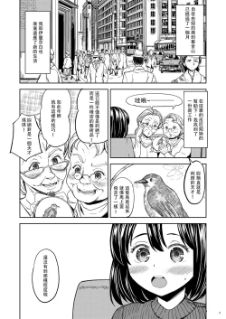 Page 4 of Tsuzureori Niwa