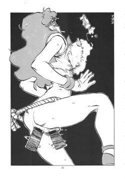 Page 41 of Suisei Liquid R