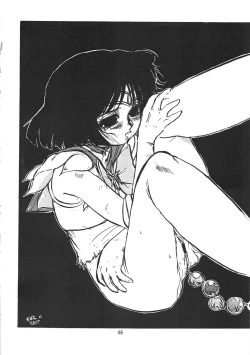 Page 46 of Suisei Liquid R