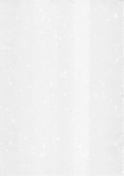 Page 49 of Suisei Liquid R