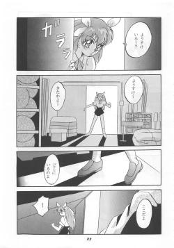 Page 23 of MOUSOU THEATER 5