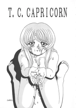 Page 3 of T.C.CAPRICORN
