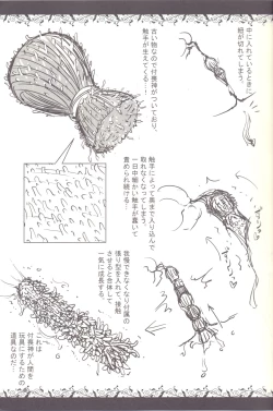 Page 17 of Syokusyu Zukan