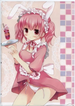 Page 3 of Secret Service