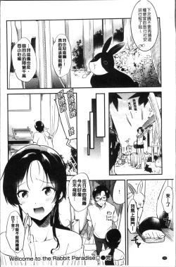 Page 24 of Rabbit Paradise