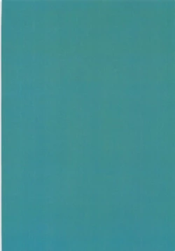 Page 30 of KOKOPERO RERO