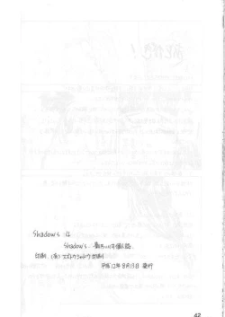 Page 41 of Shadow's 4