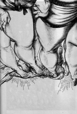 Page 30 of Gyuugyuu Party