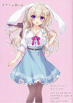 Page 3 of Fuwafuwa Onee-san wa Suki desu ka + Melonbooks Gentei Leaflet