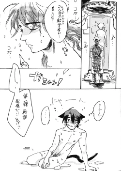 Page 8 of Kaji Giant Slalom